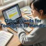 other words for too much to handle