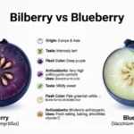 bilberry vs blueberry
