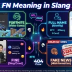 FN meaning in Slang