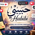 habibi meaning slang