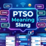 ptso meaning slang