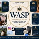 wasp meaning slang